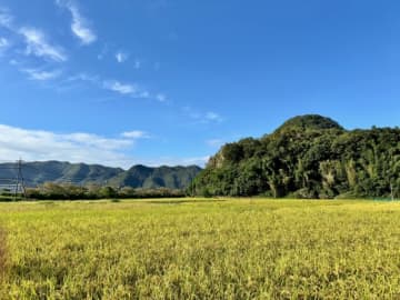 「産業用のコメにも目を向けて」菊水酒造 髙澤社長 日本酒などコメ加工で付加価値を数倍に