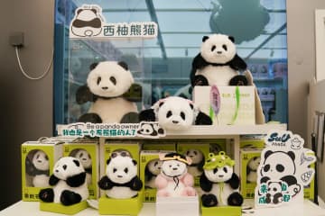 ぬいぐるみのパンダ「花花」、日米で売れ行き好調　中国・成都市