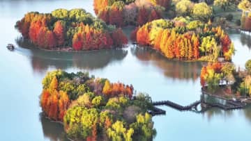 絵画のように鮮やかな初冬の湿地風景　中国・安徽省潁上県