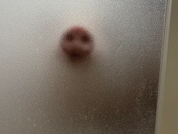 「心臓が止まるかと思った」　視線を感じる『入浴中』の写真、恐怖の正体は…