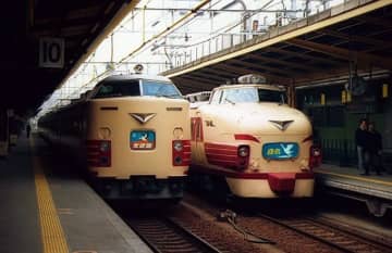 東北新幹線に「白鳥」が“入線”？！線路内支障で一時運転見合わせに