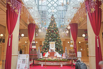 梅田の「クリスマスツリー」１０選、梅田ダンジョンの穴場ツリーも