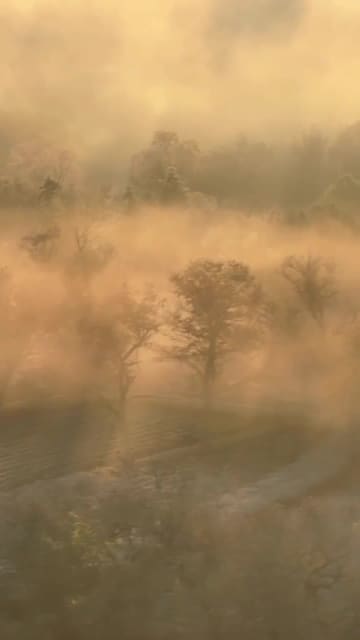 朝霧と霜が織り成す初冬の風景　中国安徽省