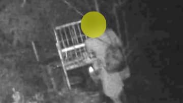 「箱罠」蹴り上げ扉を閉める“不審人物”　有害動物駆除の妨害相次ぐ　地元自治体の委託受け設置した猟友会は「警察に相談し対応検討」