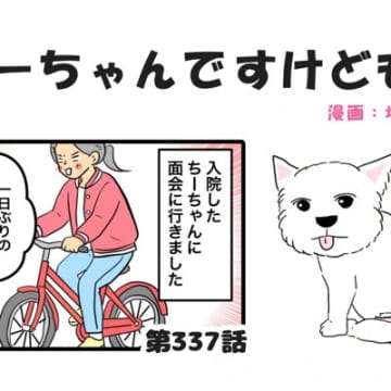 ちーちゃんですけどもっ【第337話】「ちーちゃんと面会」