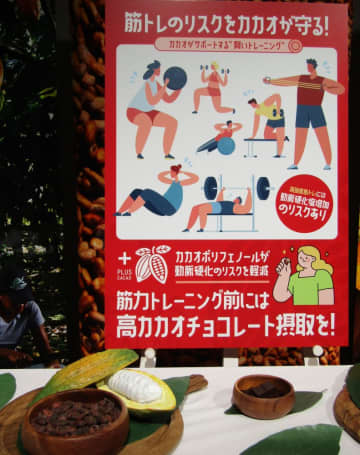 高カカオチョコレート、筋トレ前の摂取で血管への負担軽減の可能性　明治と日体大が発表