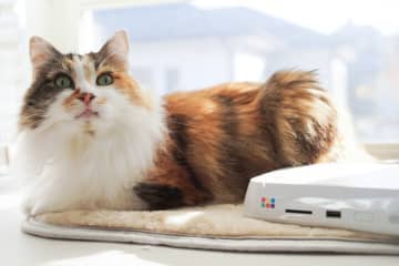 スマホの写真を簡単バックアップ！ バッファロー「おもいでばこ」に転送した写真をテレビで楽しむ