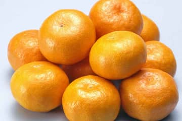 知って得する3つの見極め方とは　農林水産省が教えるおいしいミカンの選び方