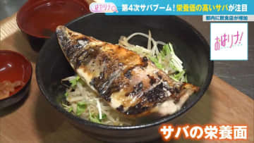 現在“第4次サバブーム”真っ只中！ 多くの人が期待するサバの栄養価、健康面でのメリットを医師が解説