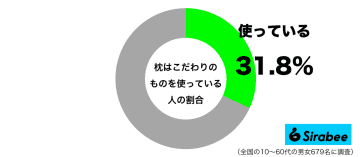 約3割が「枕」にこだわり！　しかし”いいものは価格がネック”との声も