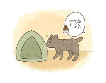 冬支度の新ベッドを「まさかのカスタム」!?　ベッドを潰して仕上げるたまちゃんの流儀【連載】交通事故にあった猫を拾いました#235