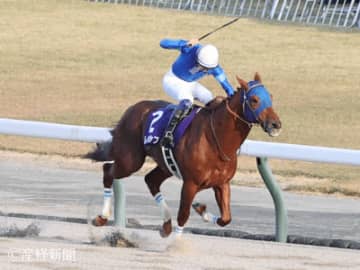 【チャンピオンズカップ】連対率70％！信頼度高い①人気に次ぐ好成績を残す馬は何番人気！？過去10年の傾向から見る人気と配当