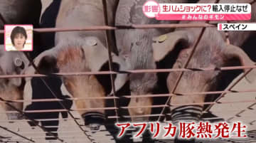 “生ハム”入手困難に？──スペイン産豚の輸入停止、影響は　業者「コロナ禍に近いインパクト」　代替品は？【#みんなのギモン】