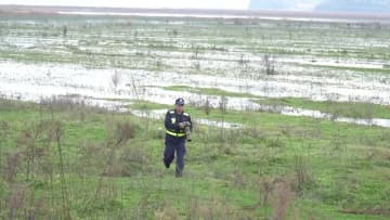 草海自然保護区、オグロヅル越冬の最盛期迎える　中国貴州省