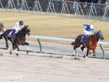 【チャンピオンズカップ】20年以降５年連続連対！馬券に絡む可能性大の重要なステップは！？ステップレースから見る過去10年の傾向