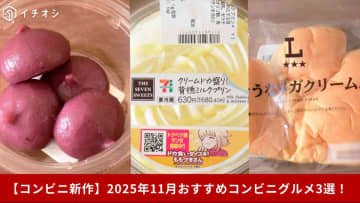 【2025年11月セブン・ローソン】背徳感ハンパない！激推し「コンビニスーツ」3選！