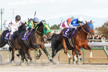「本命にしようと思ってたら…」　G1ダート頂上決戦、有力馬の枠順に競馬ファン悶々「どう捌くか」
