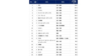 企業情報サイトランキング2025、花王が2年連続1位に／2位資生堂、3位ライオン【トライベック調査】
