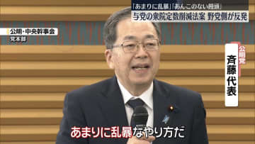 与党提出予定の衆院定数削減法案　野党側から批判の声