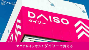 【ダイソー商品ガチレビュー】「段ボールチェア」110円の強度をチェック！防災用？アウトドア用？