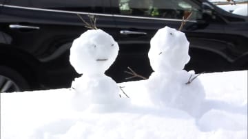 「想定外ですね」関東では初雪が大雪に　今季“最強寒波”で初雪ラッシュ…「1ｍ先が見えない」ホワイトアウトも発生