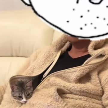『自称猫アレルギーの父』→保護猫を迎えた結果…想像もしなかった『まさかの光景』が16万再生「懐くべき人をわかってる」「あくまでも自称ｗ」