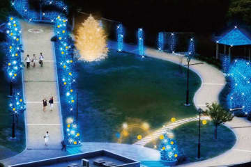 横浜・アメリカ山公園”ミツバチ”テーマのイルミネーション、ミツバチの光が紡ぐ幻想的な夜空