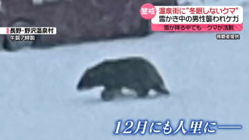 “冬眠しない”クマに…各地で襲われる被害相次ぐ　雪かき中や新聞配達中など　12月でも注意が必要