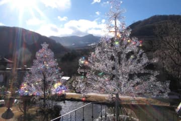 箱根ガラスの森美術館のクリスマスイルミネーション、“約15万粒のクリスタルガラス”煌めくツリー