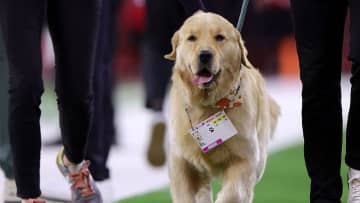 「あまりにも奇妙な怪我」で離脱した5名の選手