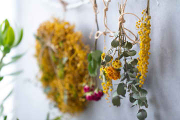 飾ってはいけない『花』5選　適していない理由とは？