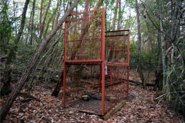 有害動物用の 罠の扉を “駆除反対の人間” が『勝手に閉めて妨害』”わざわざ夜中に侵入” し妨害して去るする姿にネットでコメント殺到「どれだけ農作物が被害にあって困っているかわかってないんだろうな…」「私は野生の命を守ってるって陶酔しきってるんだろう。」