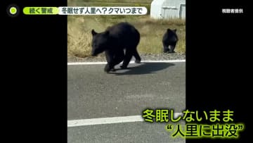 雪かき中の男性襲われ…冬本番もクマ出没　雪に「メリット」と「危険性」ハンターと専門家に聞く
