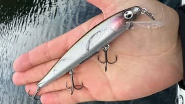 「やっぱりシャローには夢がある」寒くなっても浅場のゲームはやめられない！キツかったらスローダウンすればOK。使用ルアーはこのタイプ！