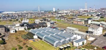 関空から車で約15分でイチゴ収穫体験　26年1月6日に体験型農園がオープン