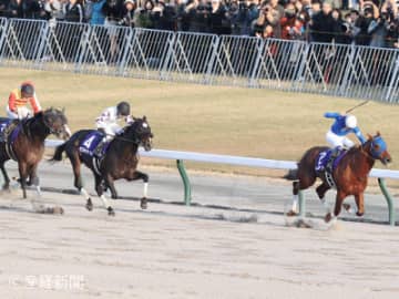 【チャンピオンズカップ】前走連対馬が勝利したケースは意外にもない！Ⅴ候補となるのは前走何着馬？ＪＢＣクラシック組から見る攻略POINT