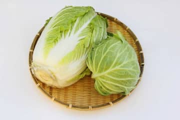白菜やキャベツの黒い斑点　食べても平気？　水分95％でも優秀な成分たっぷり　効率的な食べ方を栄養士が解説