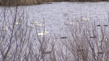 【札幌から日帰りドライブ】古民家カフェにガレット専門店―旅のプロが教える！長沼町の穴場スポット特集 世界に一つだけのグラス作り体験も＜北海道＞