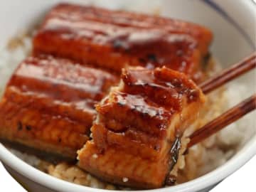 【本日みつけたお買い得品】「松屋」のうなぎ10食セットが5,520円で販売中