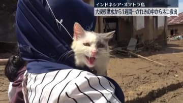 インドネシア・スマトラ島で大規模洪水　がれきの中から1週間ぶりネコ救出