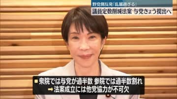 衆院議員定数の削減法案、与党がきょう提出へ　野党側反発「乱暴すぎる」