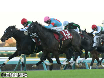 【ステイヤーズＳ】波乱傾向増すレース！ 過去10年の傾向から見る人気と配当