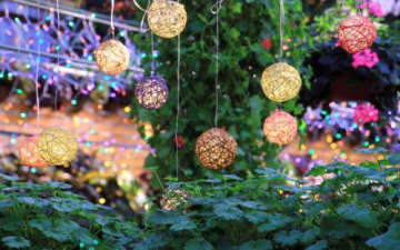 【入場無料】音と光のショー！長浜駅前が輝く「えきまちクリスマス2025」多彩なイベントが盛りだくさん！