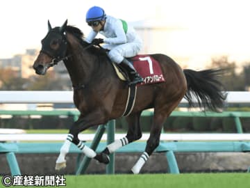 【ステイヤーズＳ】カタカナ表記の騎手は要チェック！ 過去10年の傾向から考える攻略ポイント！