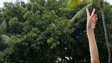 山田あい｜南風と小さな革命