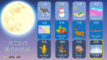 今夜は今年最後の満月!!コールドムーン　気になる今夜の天気は？
