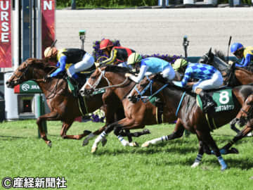 【鳴尾記念】３歳馬が断然も高齢馬の健闘目立つ!? 過去10年のデータから見えてくる攻略ポイントとは
