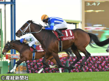 【ステイヤーズＳ】候補が多く組み立てが難しい？ 過去10年の傾向から考える３連単を的中させる軸馬の狙い方とは