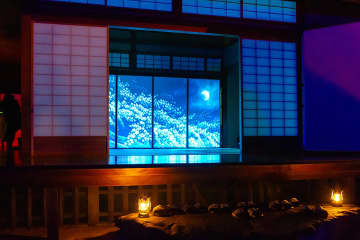 京都・妙心寺で光のアート体験!幻想的な庭園ライトアップと共演