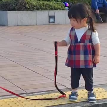 小さな女の子が『階段で犬のリードを引いた』結果…思わず応援したくなる『まさかの光景』が186万再生「子供にも容赦なくて草」「発動ｗｗ」